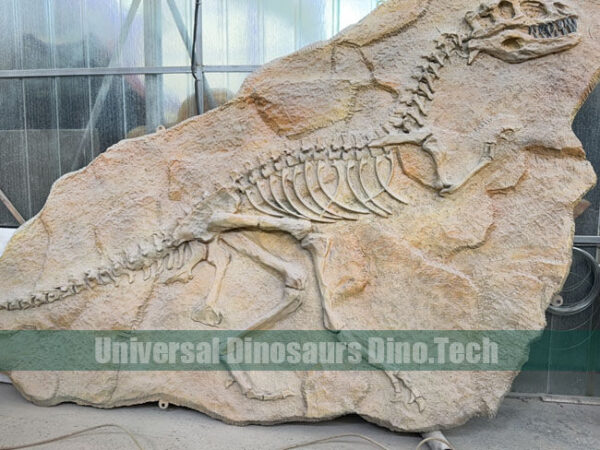 Trex Skeleton on Dig Site
