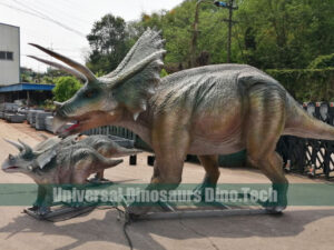 Triceratops Family Models