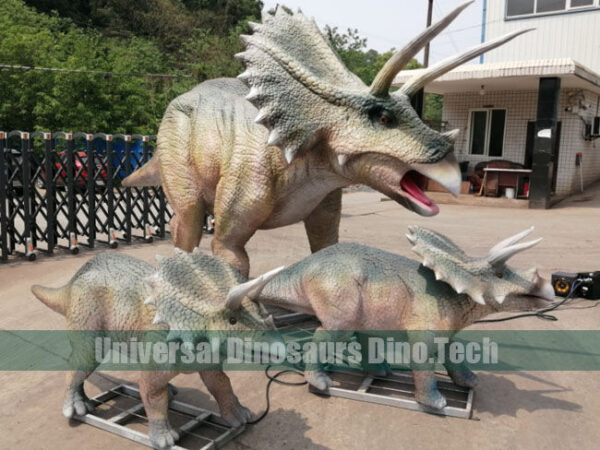 Triceratops Family Replicas