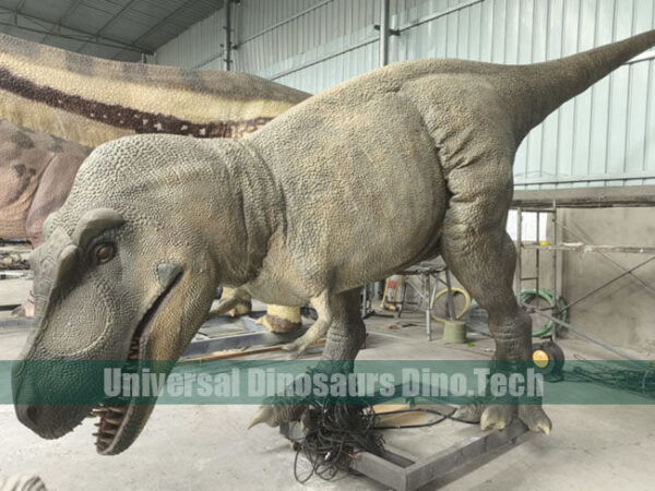 Tyrannosaurus Rex Exhibits