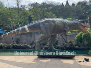 Tyrannosaurus Rex Model