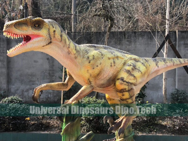 VelociRaptor Model