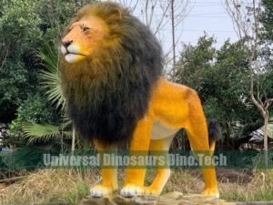 African Lion Model