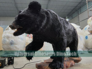 Animatronic Black Bear Model