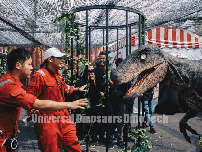 Dinosaur Costume Show