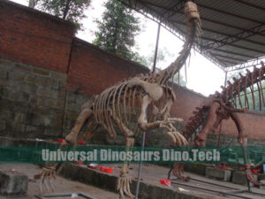Lufengosaurus Fossil Replica