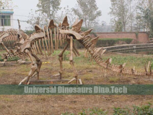 Stegosaurus Fossil Replica
