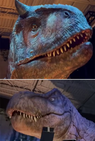 Animatronic Dinosaur Heads Animatronic Dinosaur Heads