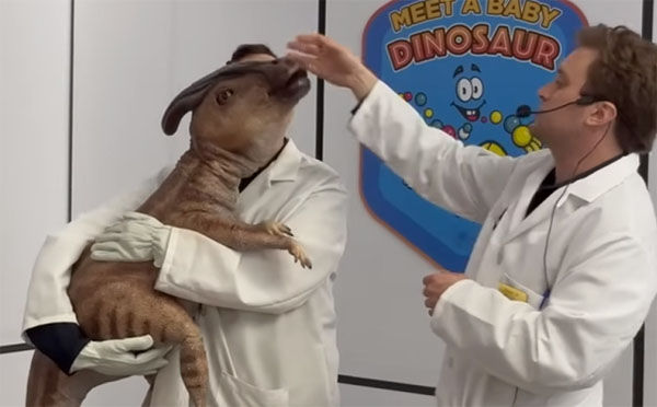 Guide: Copy One Immersive Jurassic World Exhibition