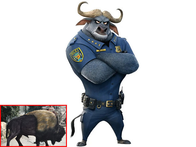 Bogo and Bufallo Model