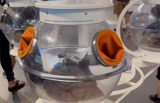 Covers with Dino Feces Covers with Dino Feces