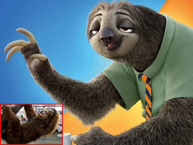 Flash Slothmore and Sloth Model