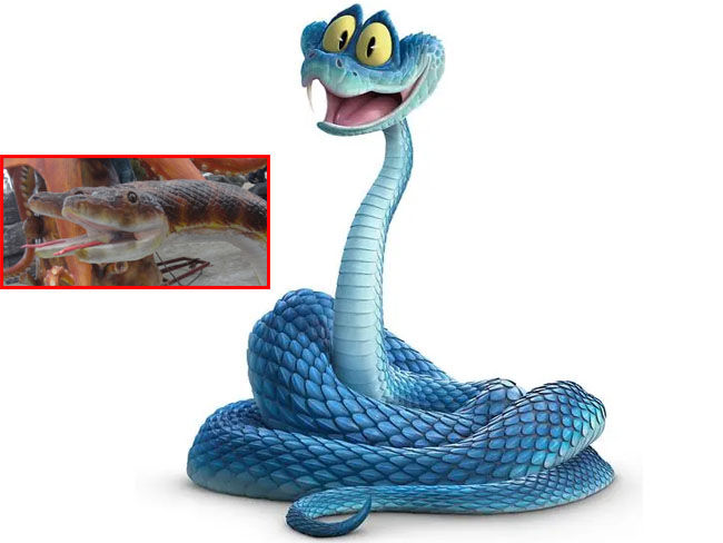 Gary and Snake Model