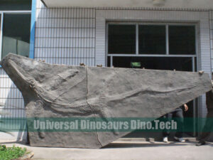 Pliosaurus Skeletons Digging Site