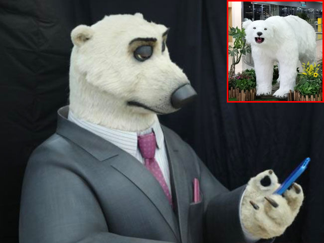 Polar Bear Character