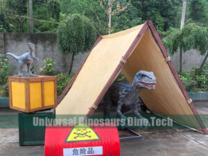 Raptors Group in Camp