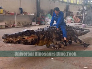 Walking Crocodile Ride