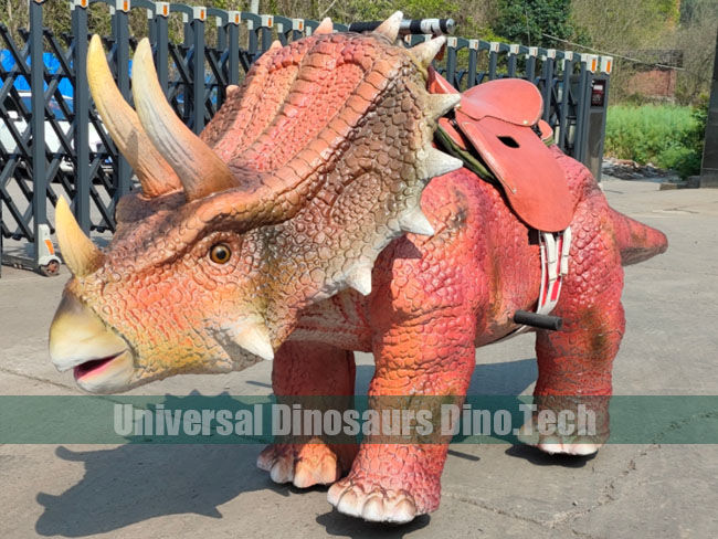 Walking Triceratops Riding Model