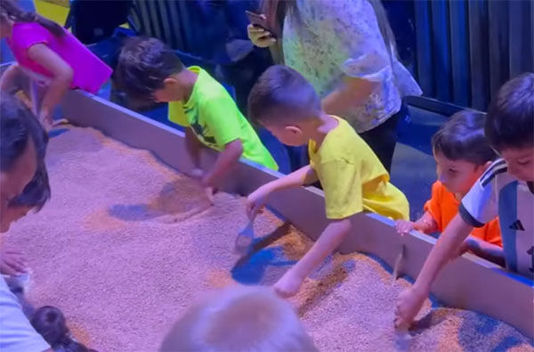 fossil excavation interactive area fossil excavation interactive area