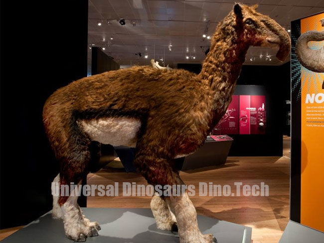 Animatronic Macrauchenia