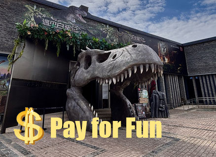 Pay for Fun