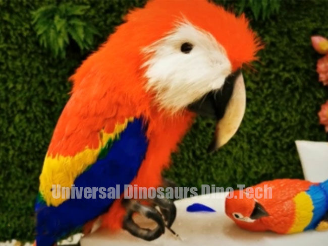 Animatronic Parrot