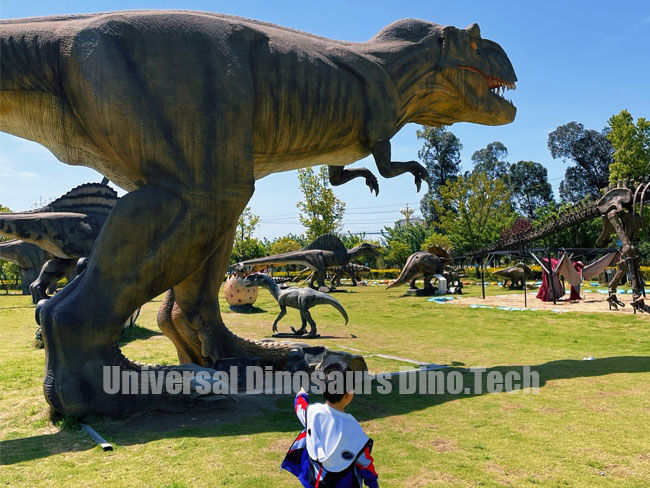 Dinosaur Playground Dinosaur Playground