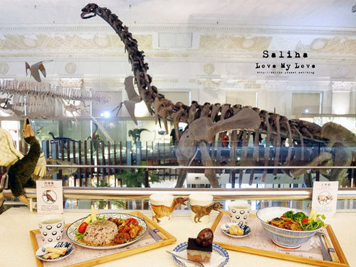 Fossil Decorations for Restaurant