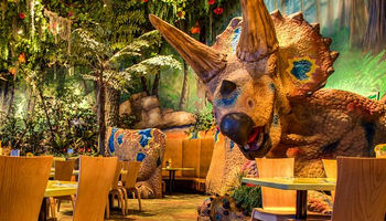 Green Plants for Restaurant