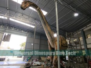 Half Diplodocus Body Model