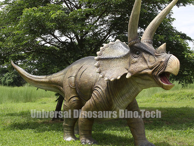 Large Triceratops Model