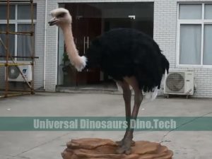 Animatronic Ostrich