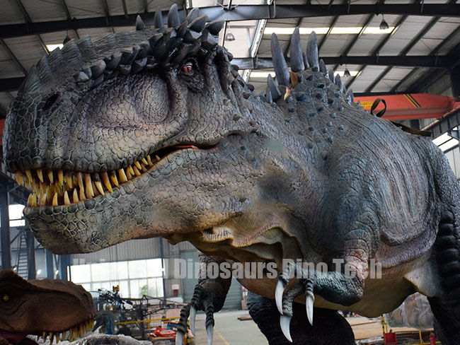 Giganotosaurus Model