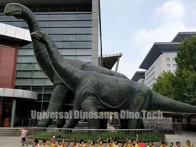 Ruyangosaurus Models