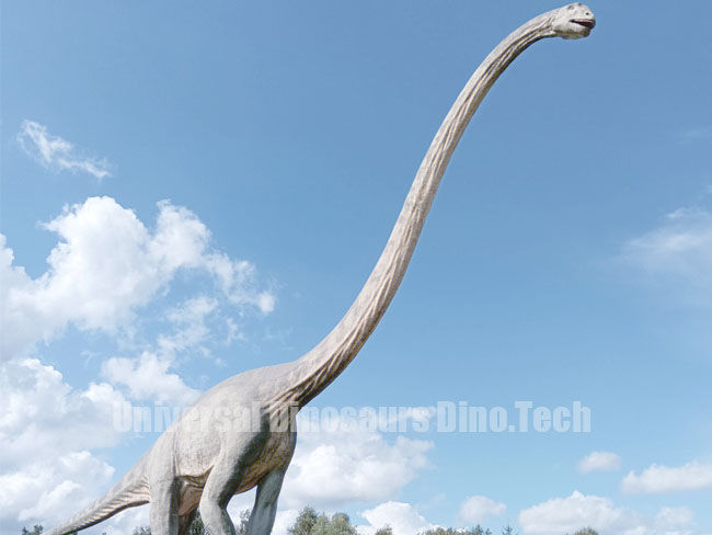 Shunosaurus Model